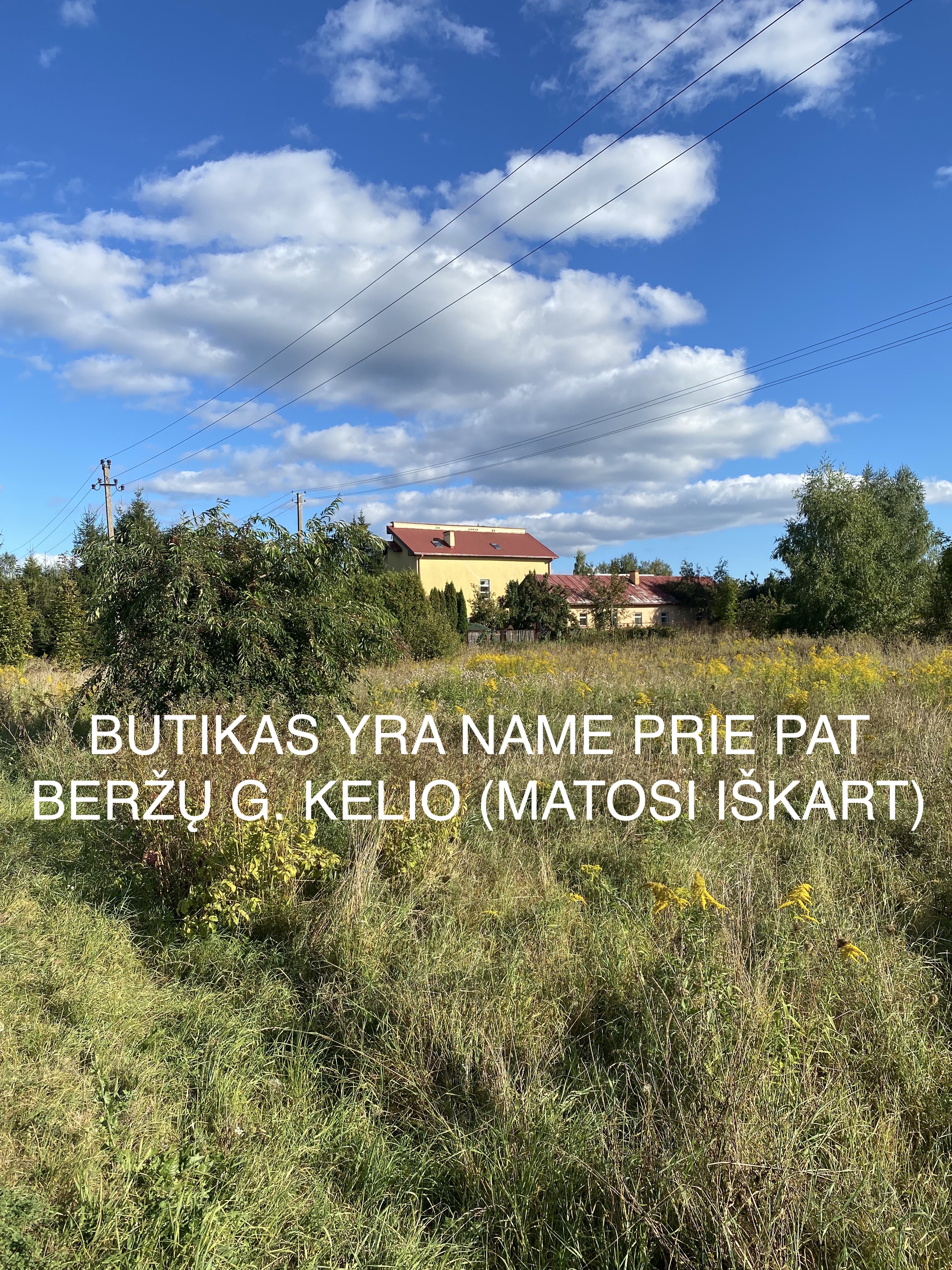 BUTIKO VAIZDAS NUO KELIO (VAŽIUOJANT IŠ UKMĖRGĖS KELIO PUSĖS)